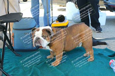 media/Oct-07-2023-Extreme Speed (Sat) [[96db232155]]/Around the Pits/